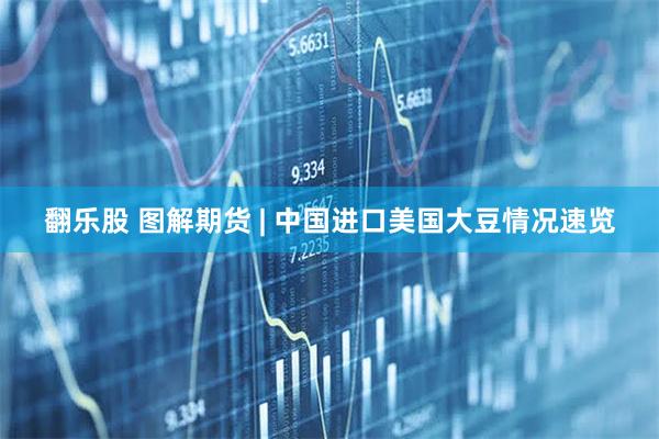 翻乐股 图解期货 | 中国进口美国大豆情况速览