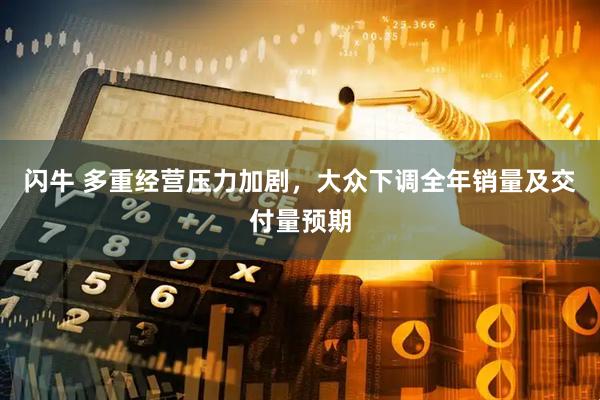 闪牛 多重经营压力加剧，大众下调全年销量及交付量预期